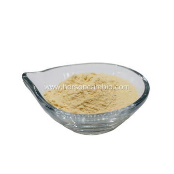 Freeze Dried Lemon Powder